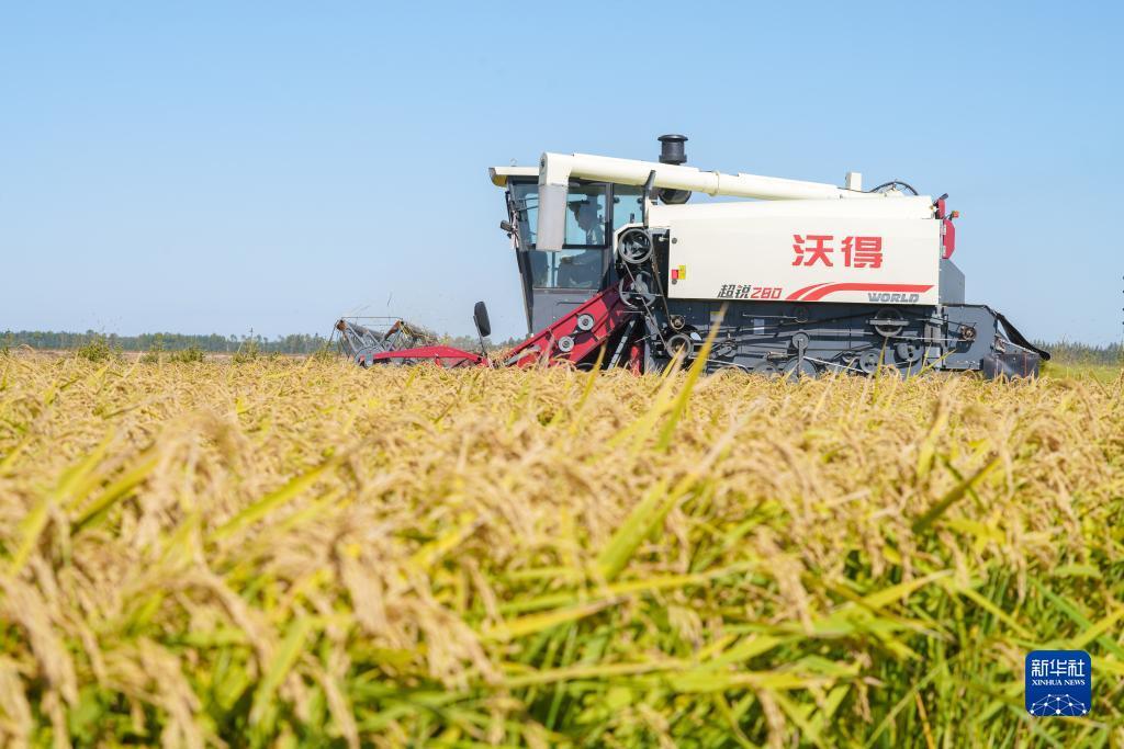 星之海洋2中文版下载